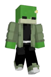 froct Minecraft avatar full body