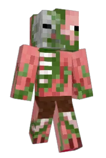 frog20 Minecraft avatar full body