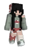 frog5555 Minecraft avatar full body