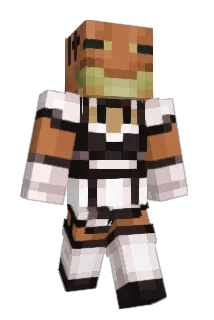 frogeyed Minecraft avatar full body
