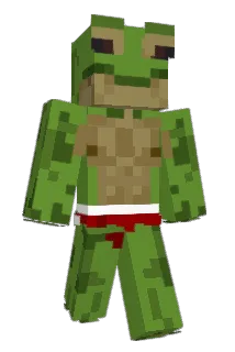 frogges15 Minecraft avatar full body