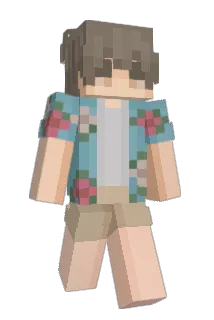 froggiwoggi Minecraft avatar full body