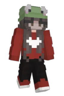 froggvx Minecraft avatar full body