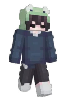 froggy00 Minecraft avatar full body