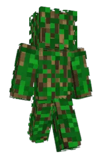 froggy2163 Minecraft avatar full body