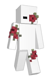 froggy_toot Minecraft avatar full body