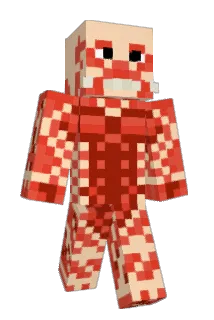 frogleftt Minecraft avatar full body