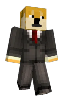 froglet23 Minecraft avatar full body