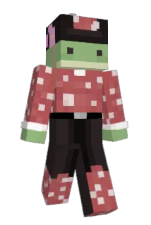 frogluver3000 Minecraft avatar full body