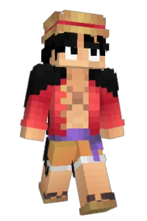 fromx5 Minecraft avatar full body