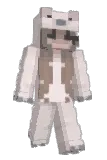 froppytsu Minecraft avatar full body