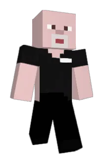 frotoh Minecraft avatar full body