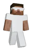 frozeen Minecraft avatar full body