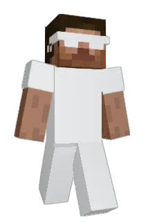 frozeen Minecraft avatar full body