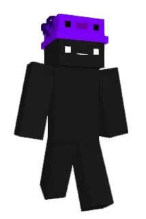 frraise Minecraft avatar full body