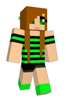 frtwmin Minecraft avatar full body