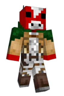 fruitpunchXD Minecraft avatar full body