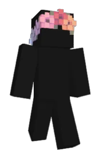 frwogs Minecraft avatar full body