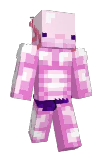 frytisss Minecraft avatar full body