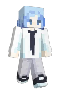fs004 Minecraft avatar full body