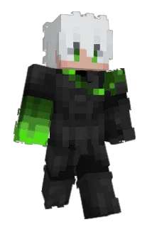 fss1810 Minecraft avatar full body