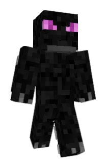fujilee Minecraft avatar full body