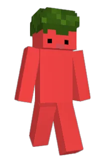 fujimet Minecraft avatar full body