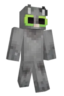 fumpkin1400 Minecraft avatar full body