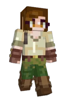 funkybee Minecraft avatar full body