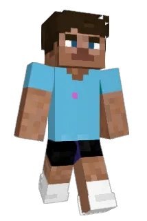 funyard Minecraft avatar full body