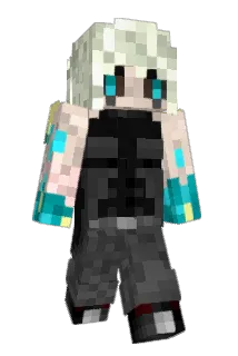 fusselfloh07 Minecraft avatar full body
