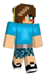 Custom render preview