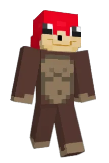 fvlipessj Minecraft avatar full body
