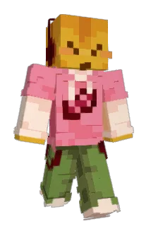 fvnhouse Minecraft avatar full body