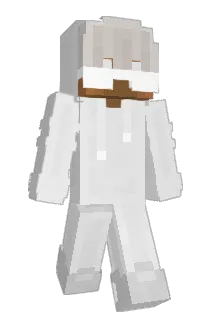 fwe_ Minecraft avatar full body