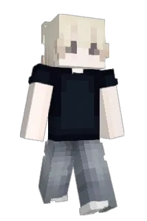 fwo Minecraft avatar full body