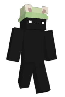 fwoggo Minecraft avatar full body