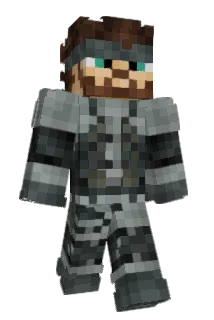 fwoods69 Minecraft avatar full body