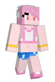 fydhjc Minecraft avatar full body