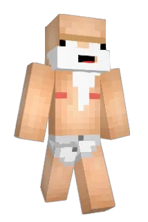 fynn232 Minecraft avatar full body