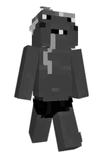 fynnsion Minecraft avatar full body