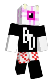 fynyquil Minecraft avatar full body