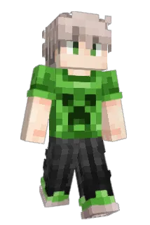 fzty Minecraft avatar full body