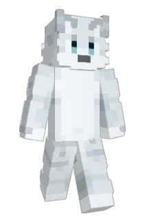 g1are Minecraft avatar full body