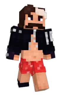 g1draa Minecraft avatar full body