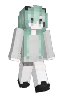 g___________g Minecraft avatar full body
