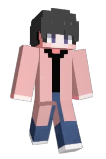gajun0830 Minecraft avatar full body