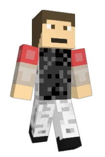 gameboymasta Minecraft avatar full body
