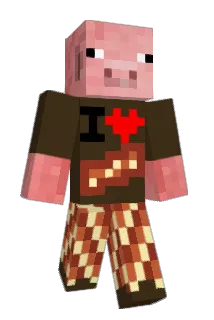 gameboywinner Minecraft avatar full body