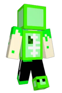 gamecrowd312011 Minecraft avatar full body